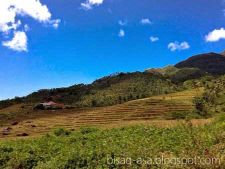 share2015-04-11-ffa9070969dedf2e96dd320f8c427ef070fa002ac1d4b901537be8db4d633f84-picture-21